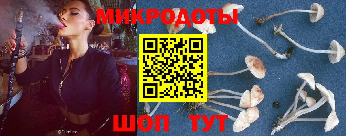 Псилоцибиновые грибы MAGIC MUSHROOMS Советская Гавань