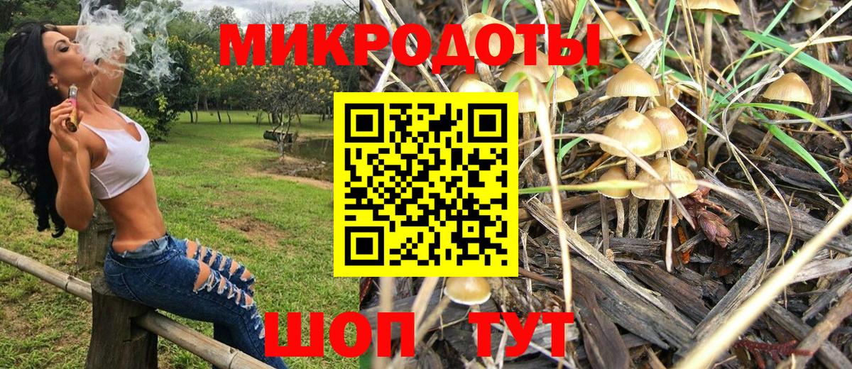 Галлюциногенные грибы мухоморы  Вход с VPN  Советская Гавань 